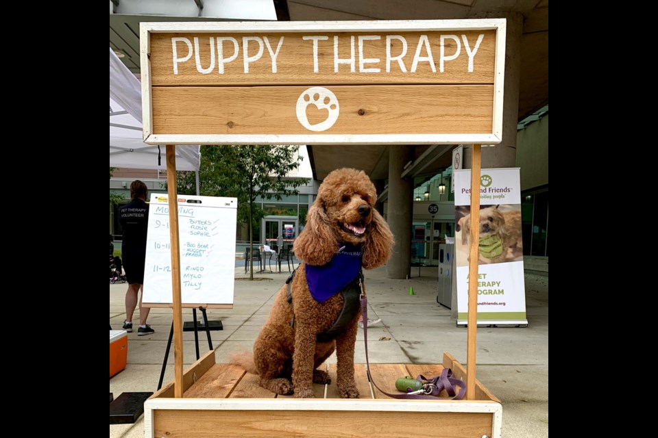More puppy love is coming to BC Children's Hospital - Vancouver Is Awesome More puppy love is coming to BC Children's Hospital - Vancouver Is Awesome