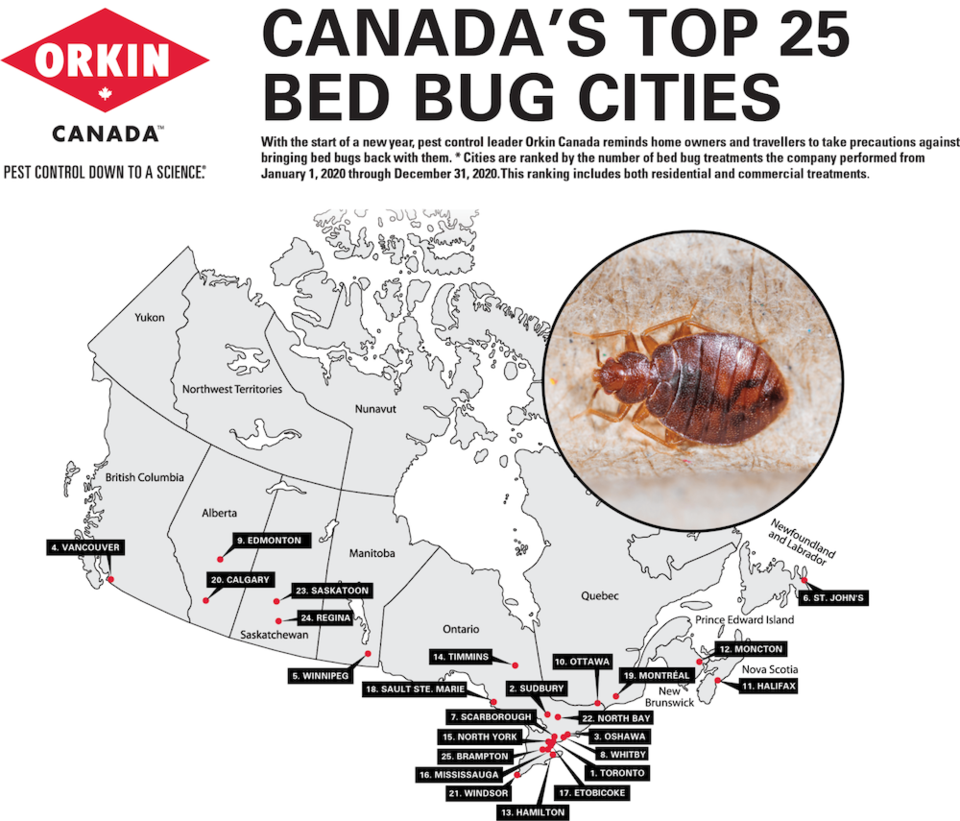 Bed-Bug-Canada-cities-2020-v2-min-1536x1313