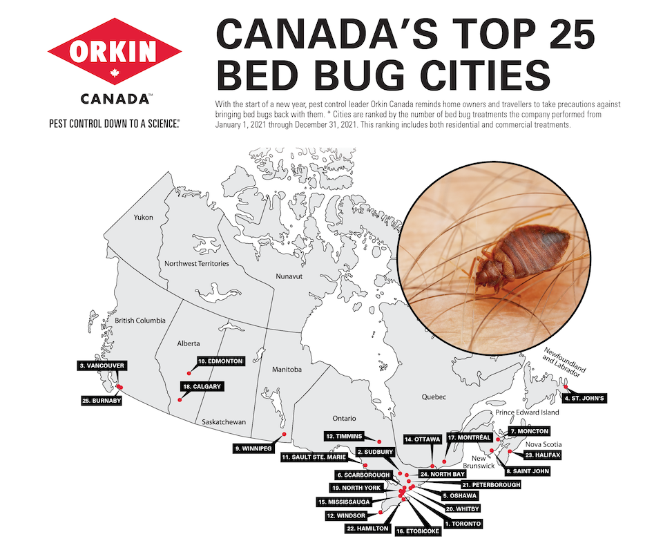 Bed-Bug-Canada-cities-2021.jpg