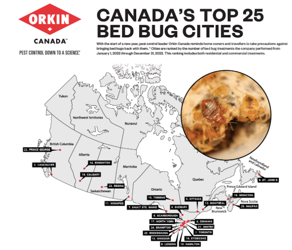 bed-bug-infestation-orkin-canada-2022jpg