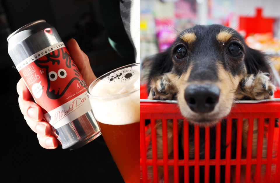beer-can-pet-photo-contest