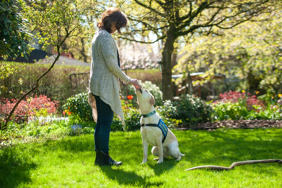 Pacific Assistance Dogs Society provides dogs for Canuck Place Hospice in Vancouver, B.C. and places across Western Canada. YVR for Kids is also a partner.