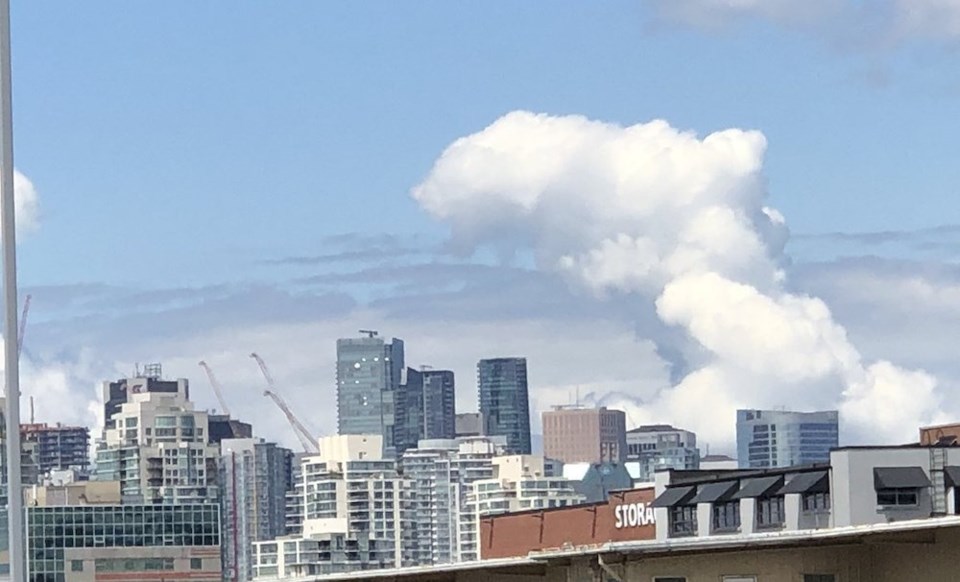 cloud-orca-with-calf-vancouver-june-2021