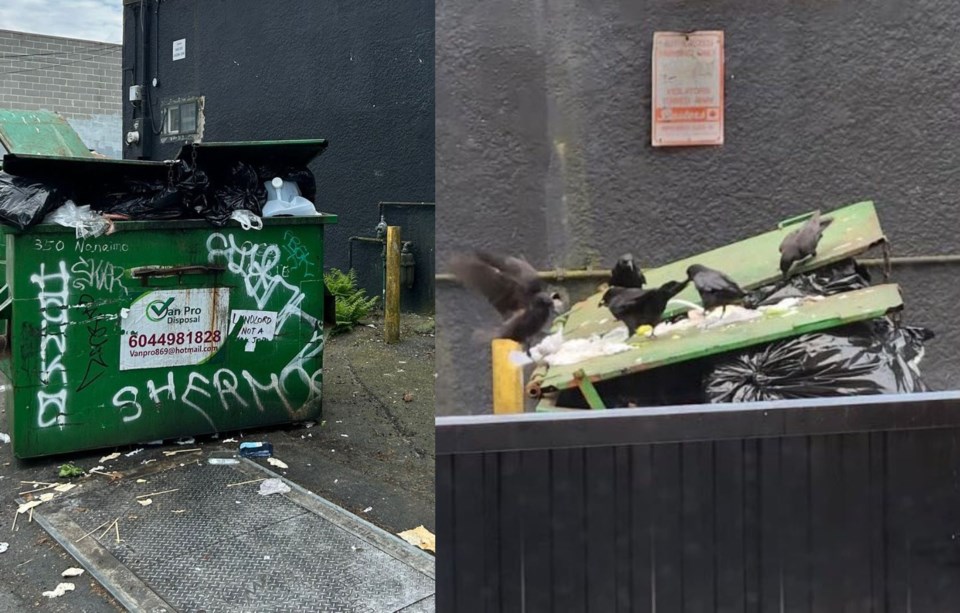crows-dumpster-vancouver