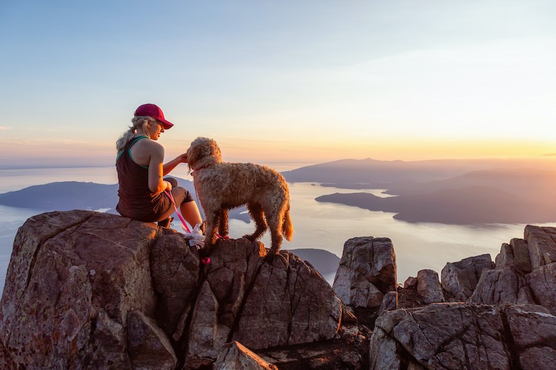 dog-hiking-vancouver-bc