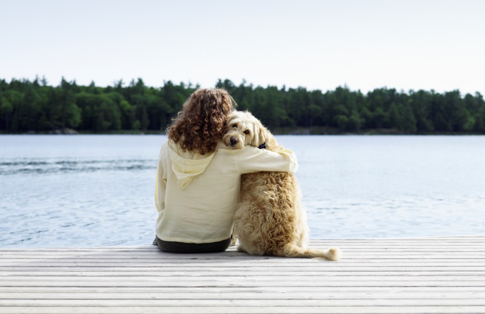 dog-pet-owner-stock-image