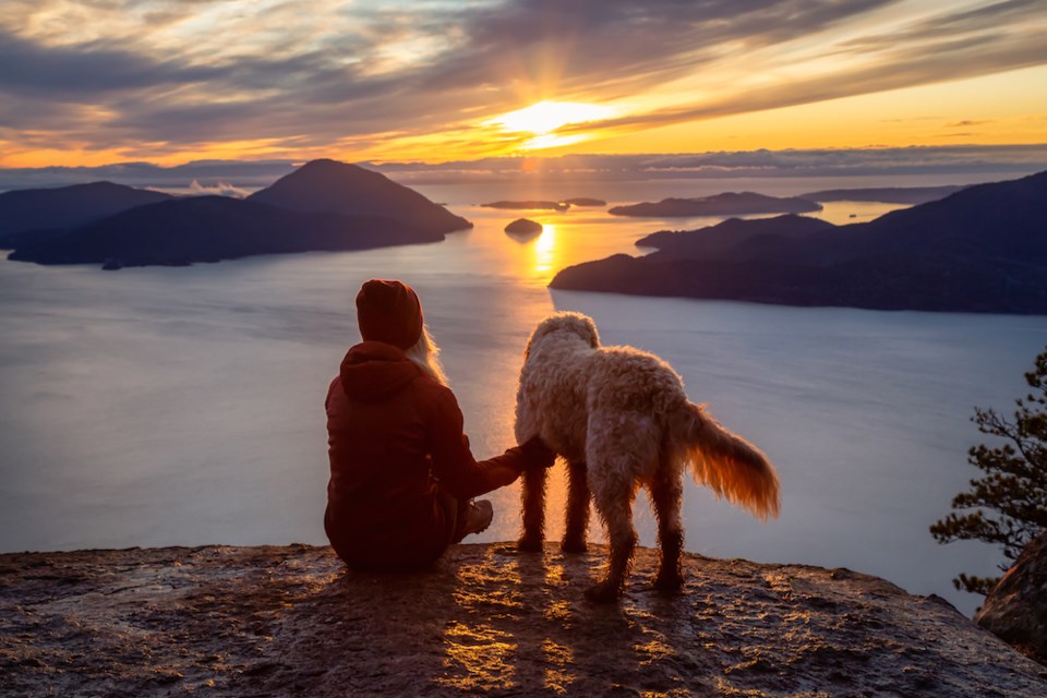 dog - sunset hike near vancouver