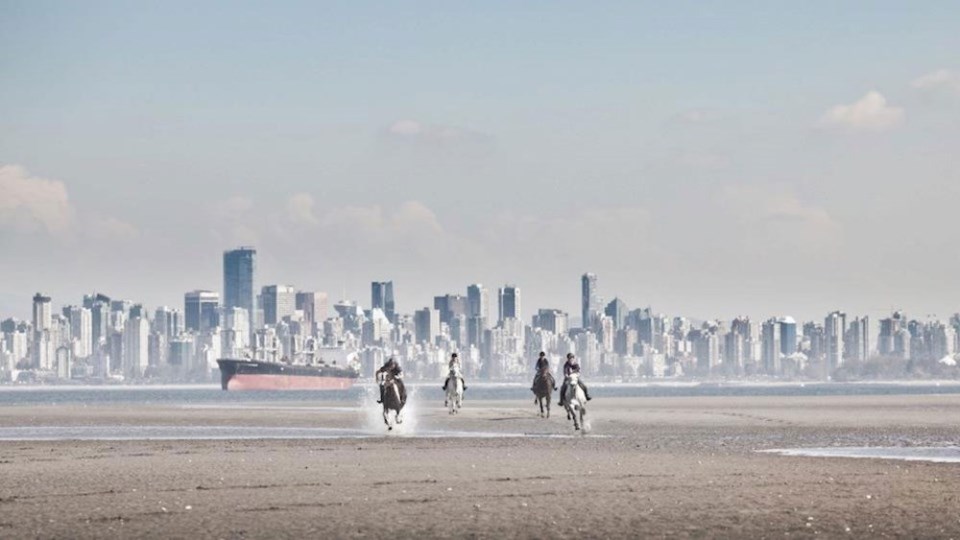 horses-vancouver-beach