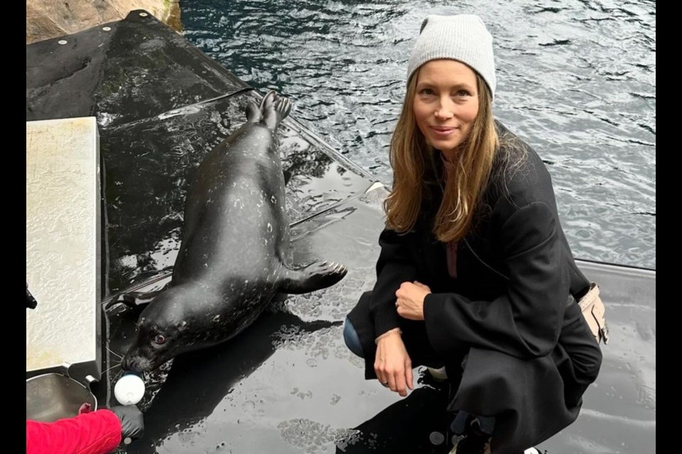 Jessica Biel met her namesake rescue "Jessica Seal" at the Vancouver Aquarium