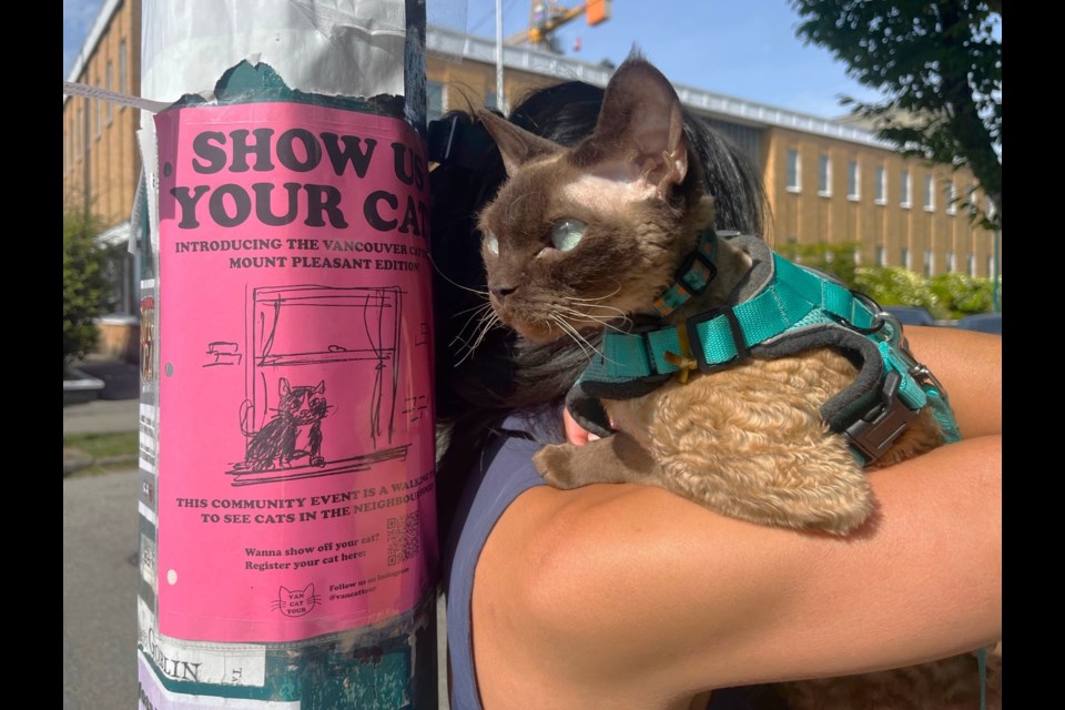 The first Vancouver Cat Tour will take place on Aug. 24, 2025, in Mount Pleasant.