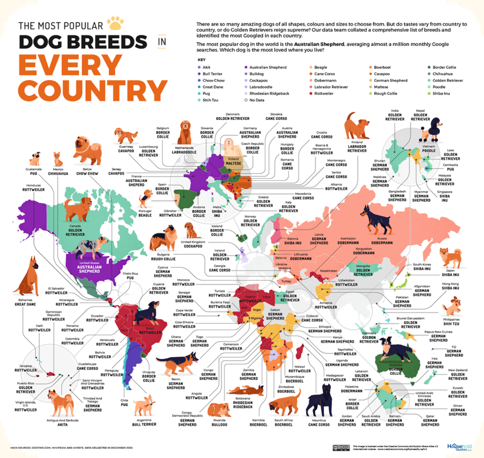 most-popular-dog-breeds-every-country.jpg