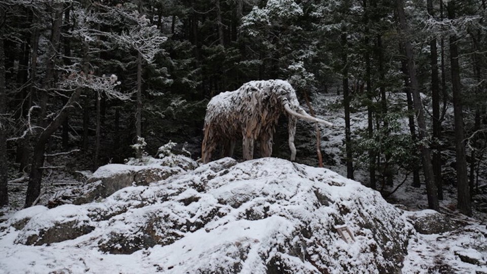 Mourn-snow-landscape