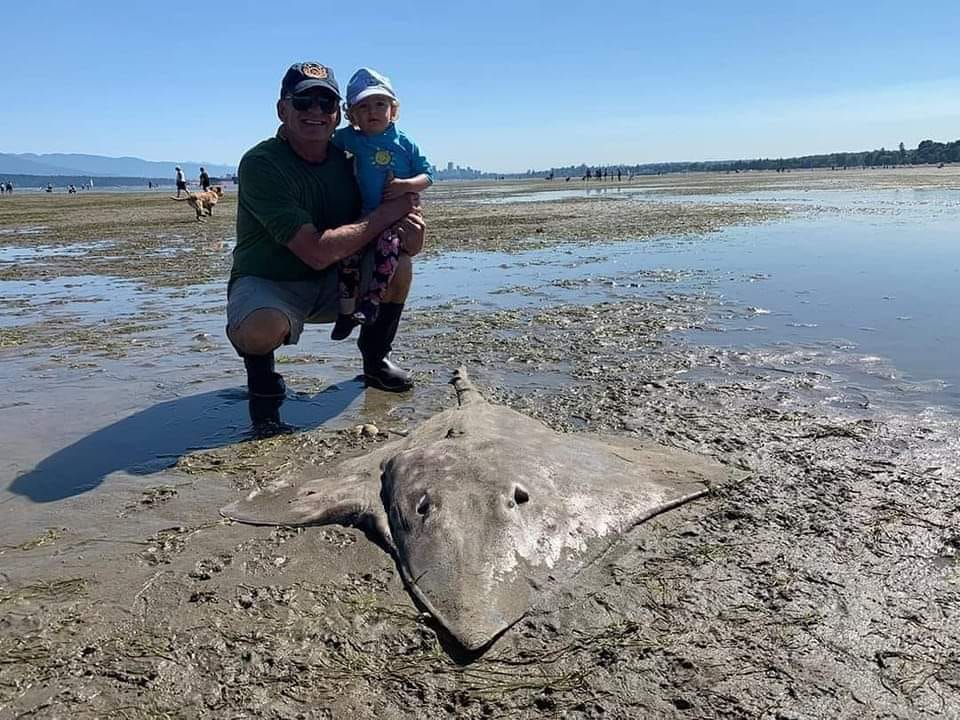 Grandfather saves unusual fish stranded on Vancouver beach