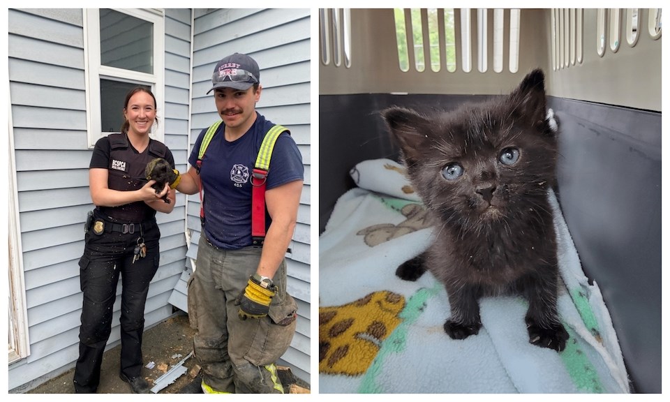 When the SPCA animal protection officer arrived at the Surrey home, the building occupants showed her the area where they were hearing the cat's cries. 