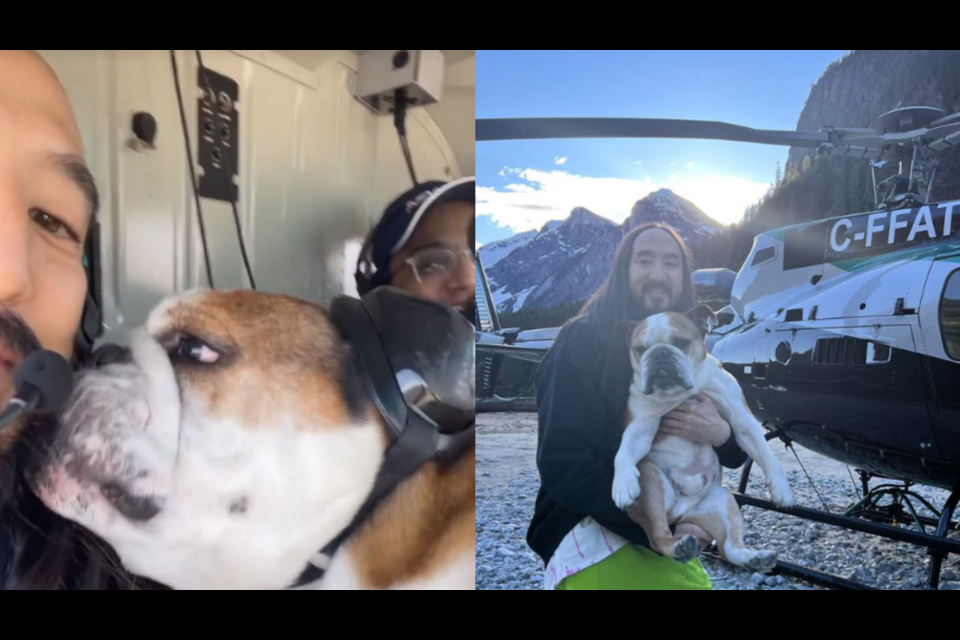 Steve Aoki and iconic Vancouver dog Mister Bentley took a trip together.