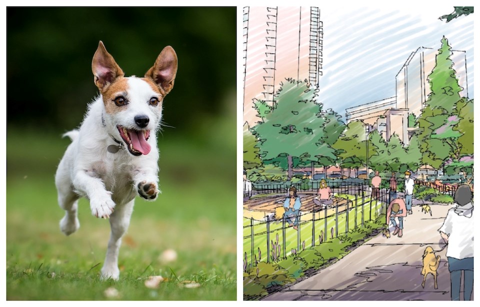 A few popular 鶹ýӳparks will get a new look following a Park Board decision in June 2023.