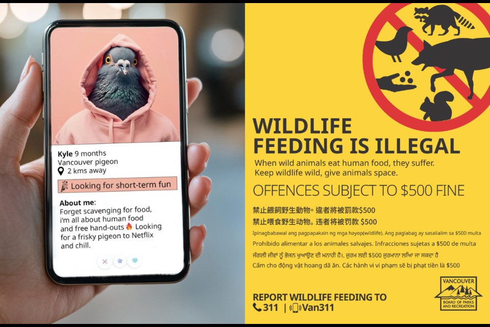 The new ad shows a (fake) online dating profile for Kyle, a pigeon in Vancouver.