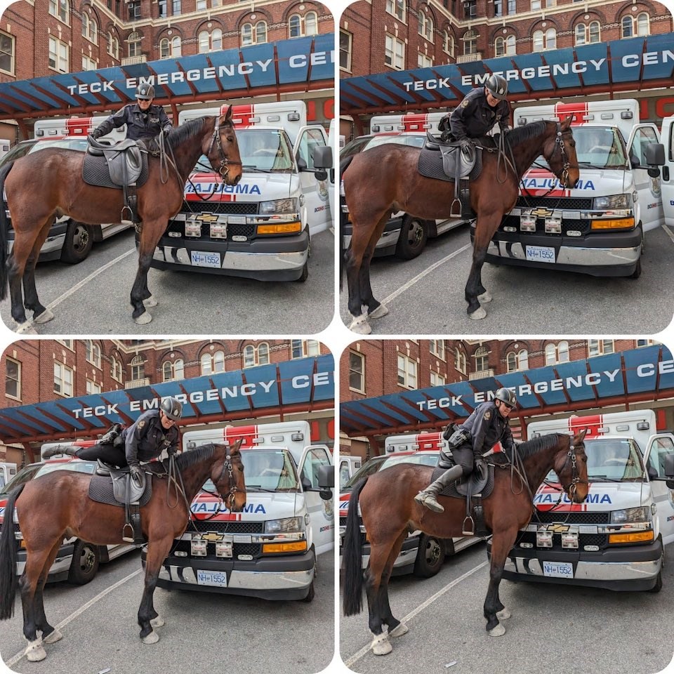 vpd-mounted-unit-stanely-park-horse-ambulance-1