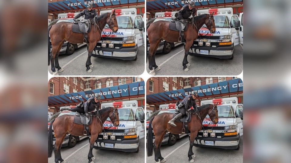 vpd-vancouver-officer-horse-mount-ambulance