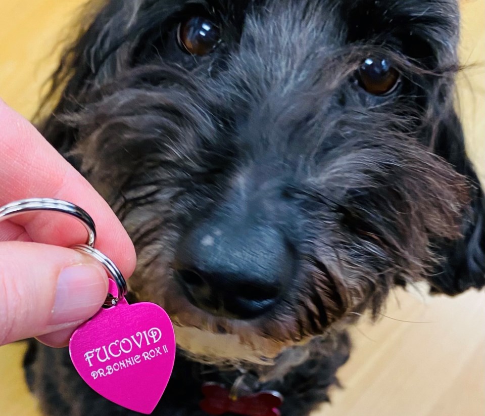 YaletownDogTag