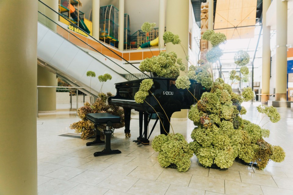 From Sept. 18-19, North Vancouverites can visit Capilano Mall to listen or play the mall’s interactive floral piano worth over $100,000.
