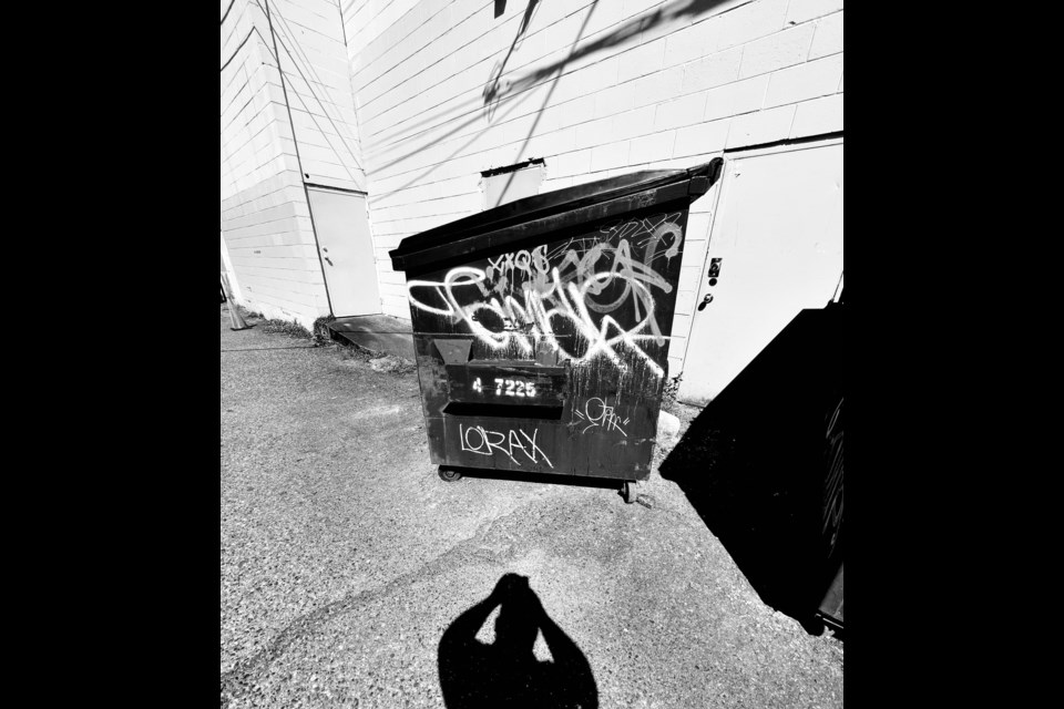 Grant Dyck's goal is to upload one dumpster photo each day for 365 days for his Instagram account @dumpsterphotographer.