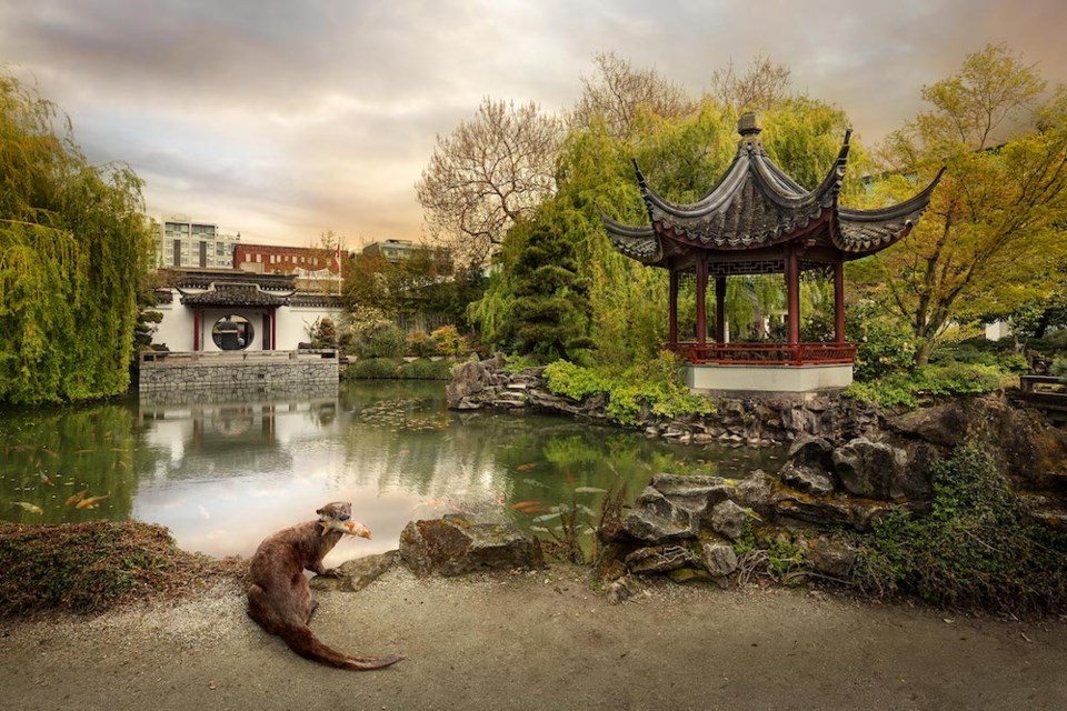 otter-sun-yet-san-chinese-garden