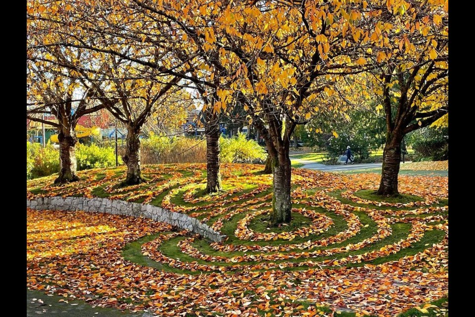 Nik Rusk and his rake go to public spaces in Vancouver and create art from fallen leaves.
