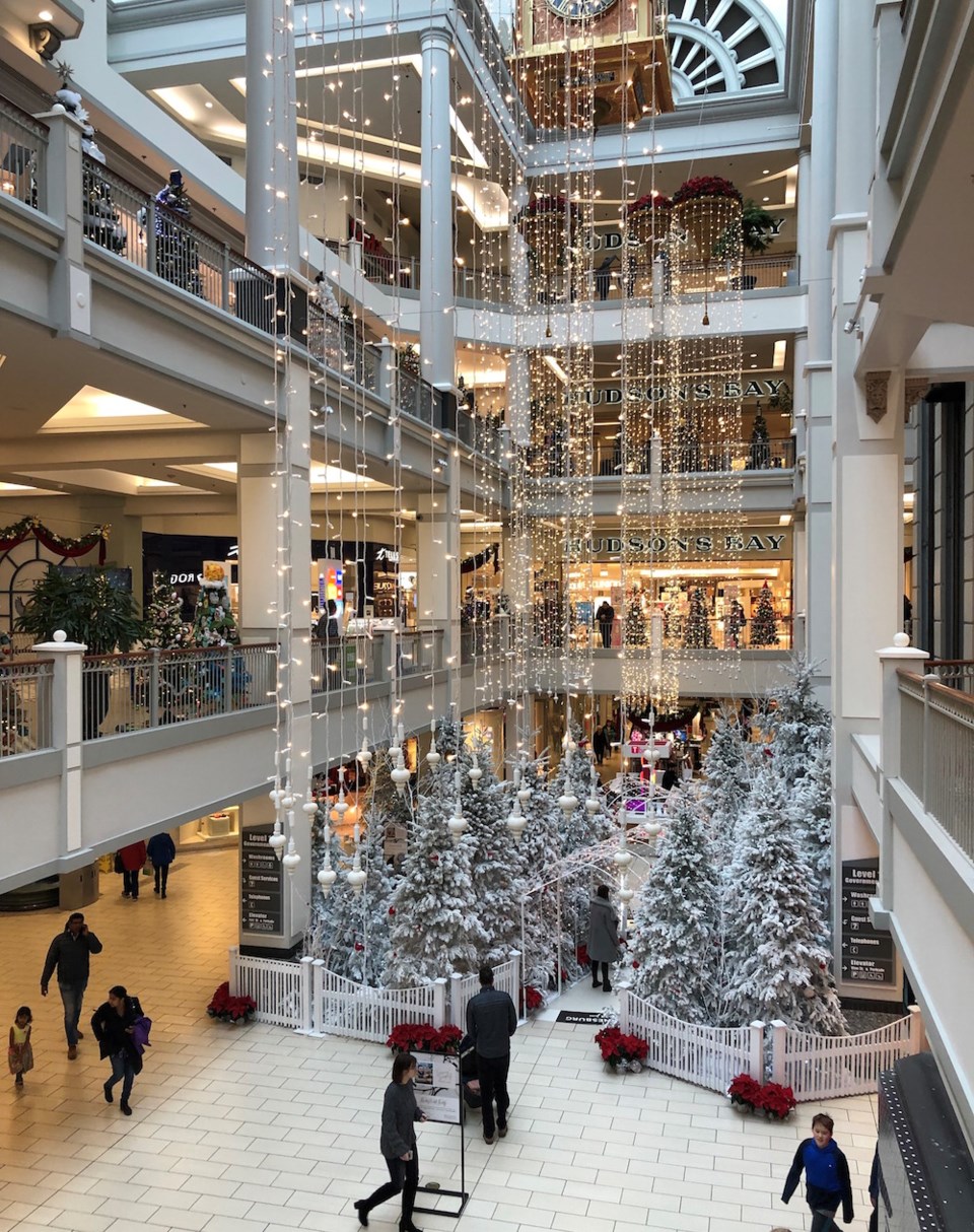 bay-centre-festival-trees