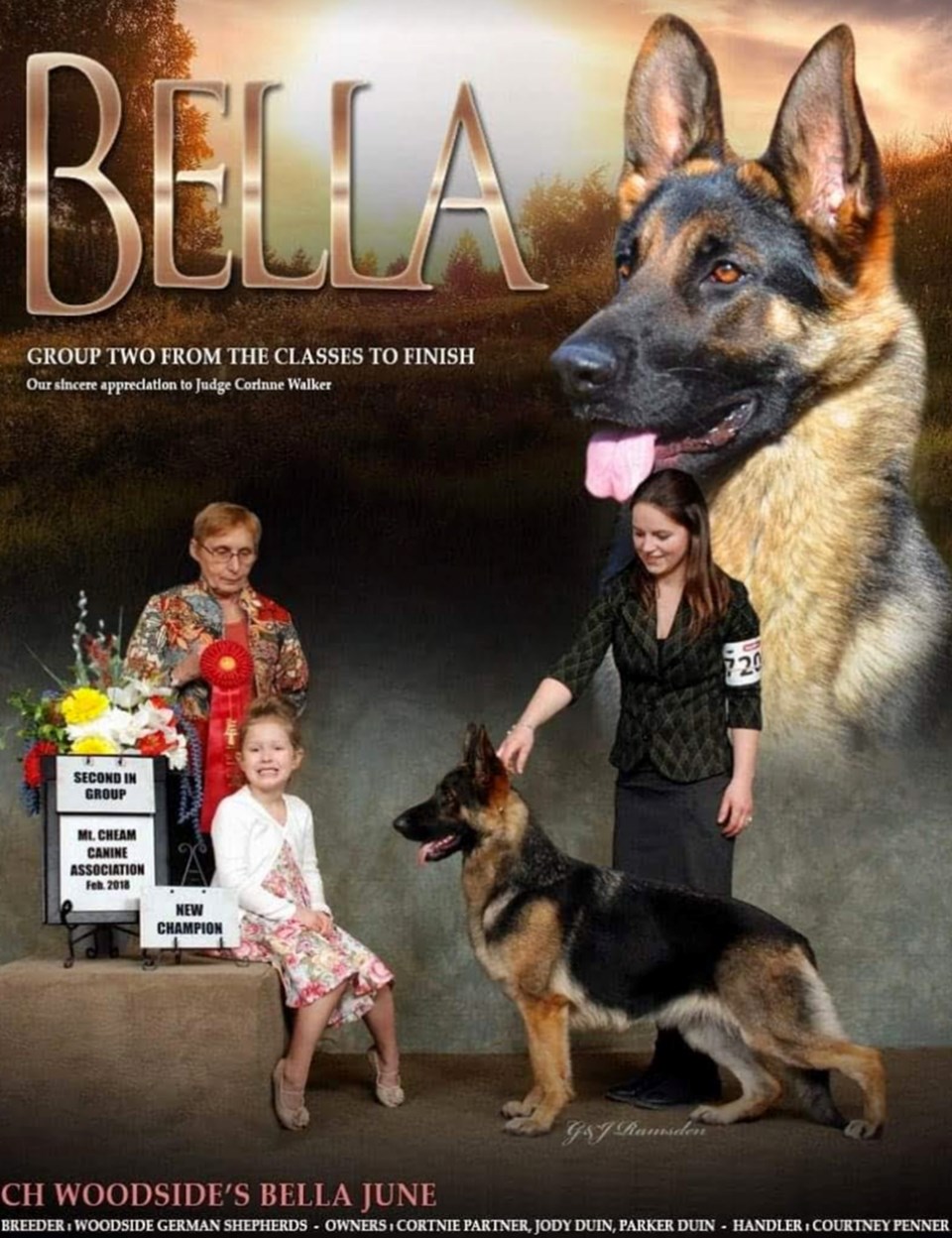 bella star dog3