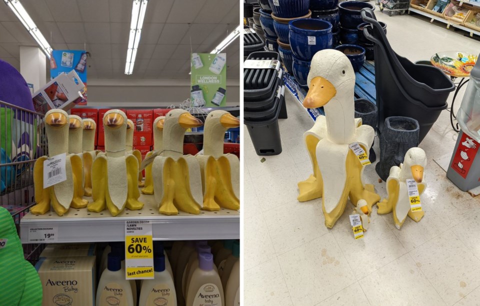 Ducknana duck banana