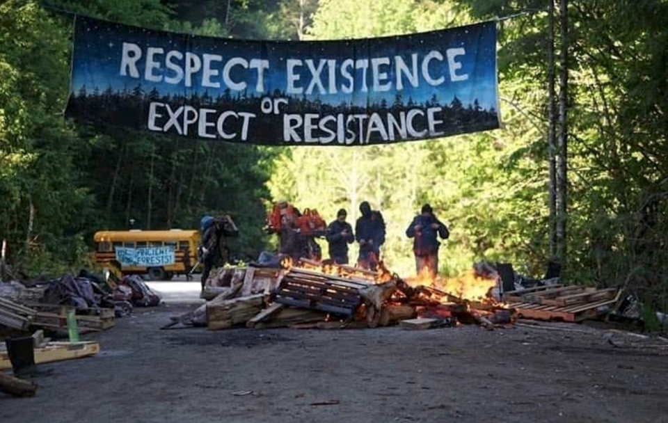 Indigenous land defenders protest old-growth logging in Fairy Creek - Vancouver Island - BC
