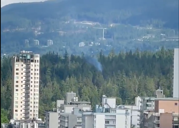 Stanley Park Tree fire - Vancouver - Saturday June 12 - twitter screenshot