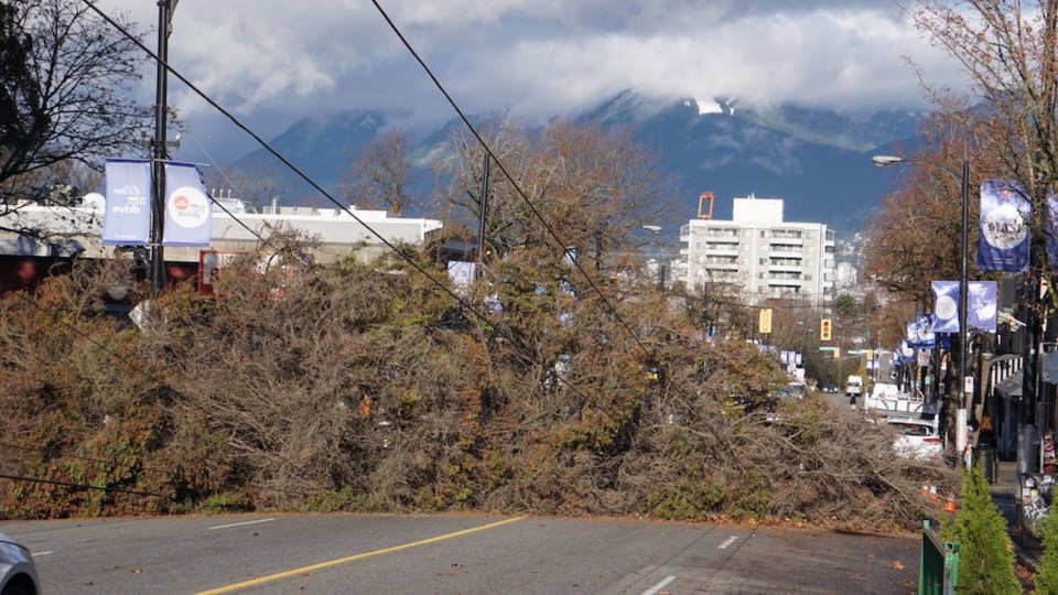 tree-down