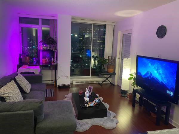 The apartment itself is large according to the ad.