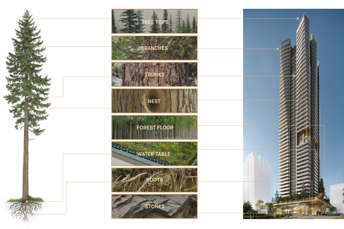 Proposed Vancouver tower’s design modeled after Douglas firs