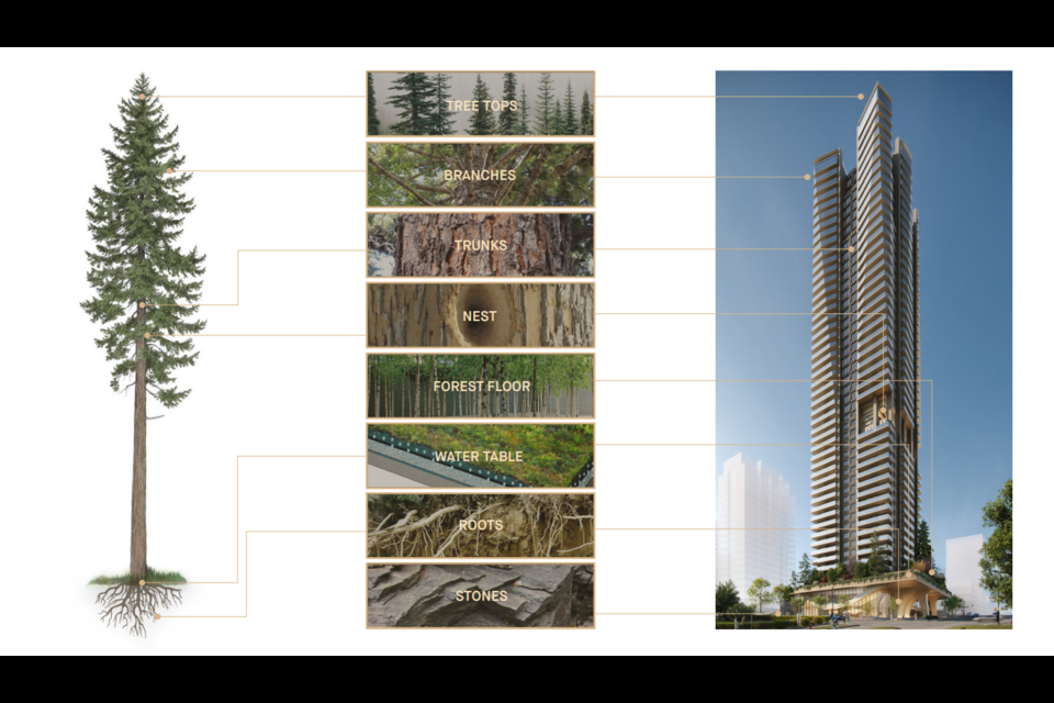 Developers show how the downtown Vancouver tower would be like a Douglas fir tree.