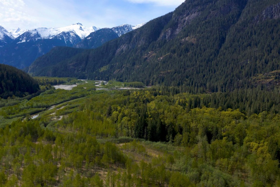A private island north of Squamish in B.C. has hit the market for just $750,000.