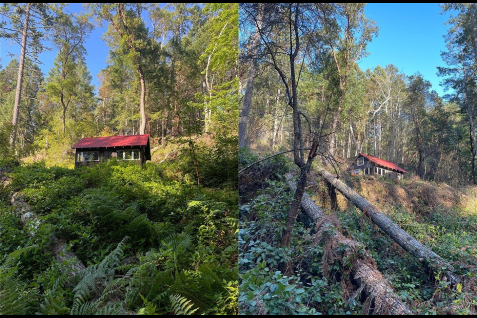A tiny cabin on a Gulf Island west of Vancouver is selling for $177,000.