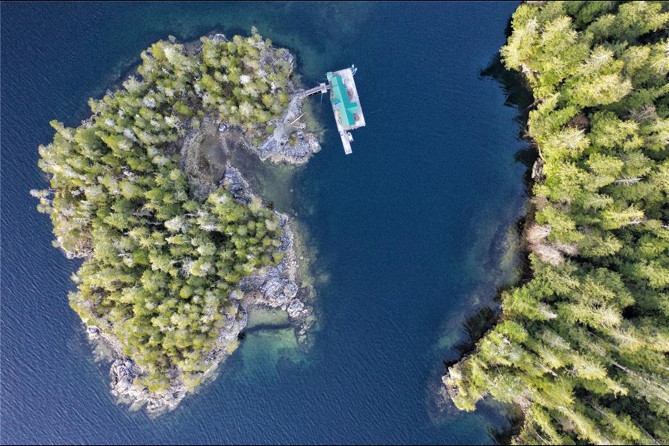 The lodge is located near Gold River, a village on Vancouver Island.