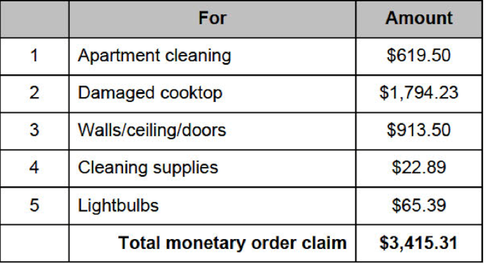 The landlord was claiming $619.50 for apartment cleaning that includes photographs of a dirty bathroom fan, dirty washer/dryer unit, "an allegedly dirty bathroom sink, that did not look dirty in the photograph," dirt marks on the floor, a few small items left behind in the bathroom cupboard, and more.