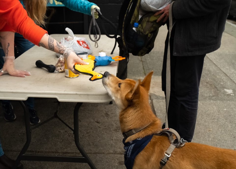 charlies-pet-food-bank