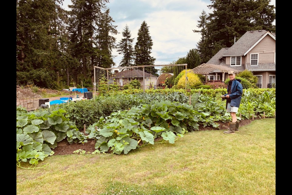 The vegetable garden.