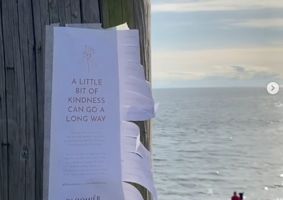 The people at Bloomier flower studio in West 鶹ýӳdistributed kindness flyers around Downtown Vancouver, Kitsilano and the North Shore. 