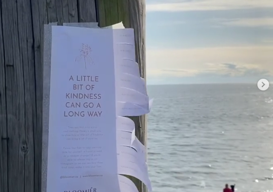 The people at Bloomier flower studio in West Vancouver distributed kindness flyers around Downtown Vancouver, Kitsilano and the North Shore. 