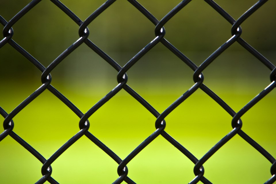 chain-link-fence-grass