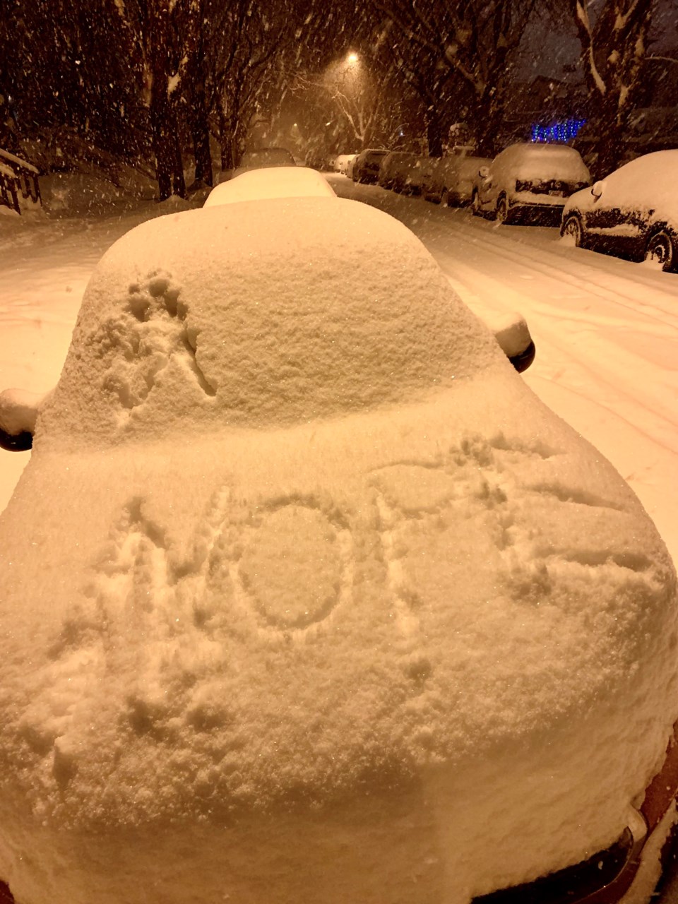 Snow in Vancouver 2021