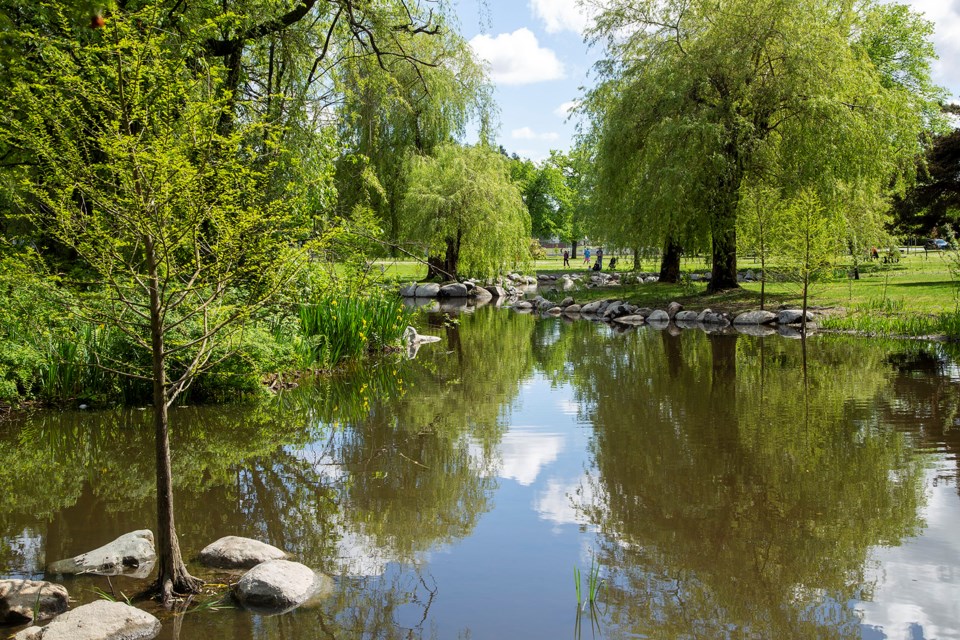 South Memorial Park pond