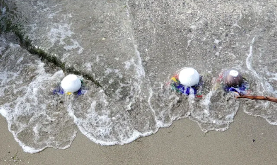 things-washing-up-vancouver-beach.jpg