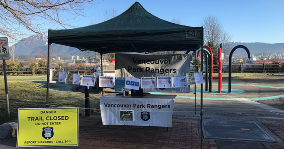 vancouver park board coyote education campaign stanley park